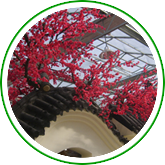 美觀園藝布景 美觀園藝布景